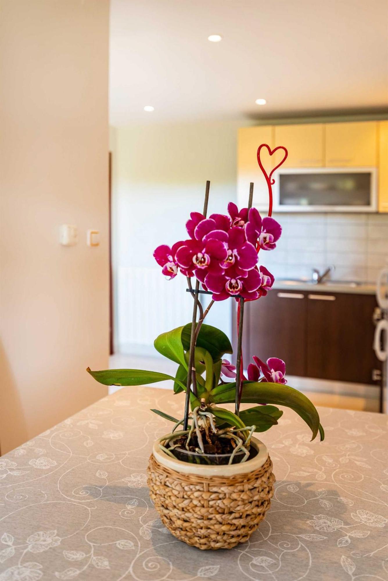 Apartment House Simoni With Pool, Zadar County Privlaka  Esterno foto